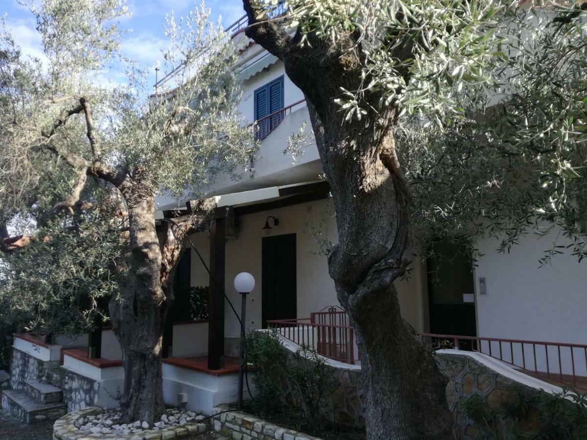 Villa Anna Residence Rodi Rodi Garganico Extérieur photo
